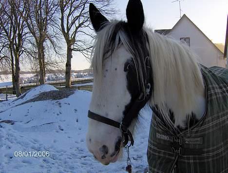 Tinker Lady Luna billede 12