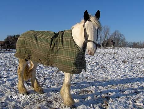 Tinker Lady Luna billede 14