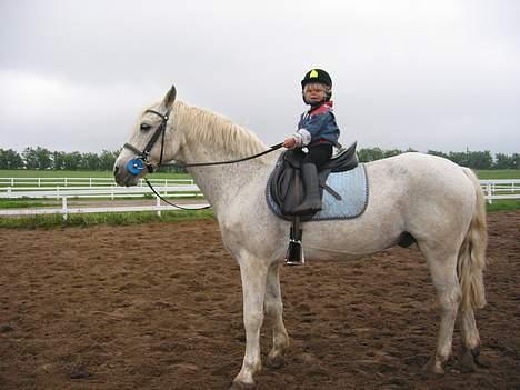 Connemara Shannon (Død) - hun sprang 60 cm på shannon med mig bag sadlen billede 20