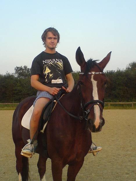 Trakehner Romeos Tattoo (solgt) - romle og manden ;) to smukke drenge  billede 3