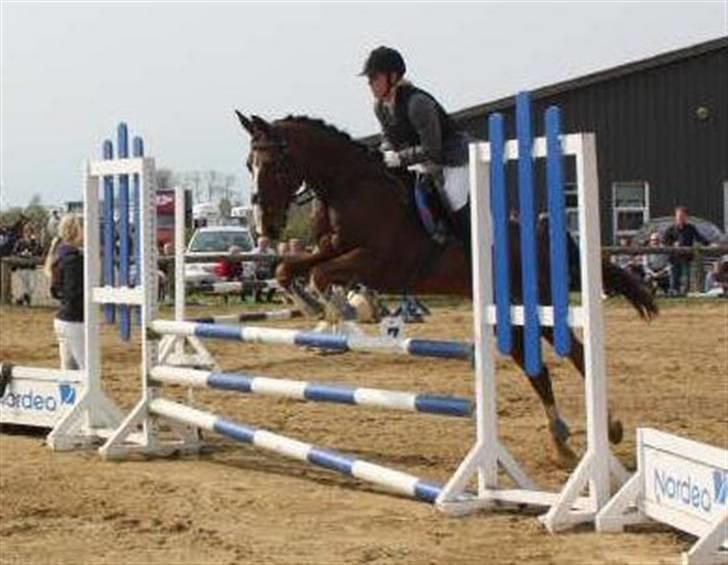 Trakehner Romeos Tattoo (solgt) - springstævne på Kærbo 2009, fra Tits kamera billede 7