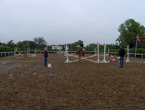 Anden særlig race otto billede 16