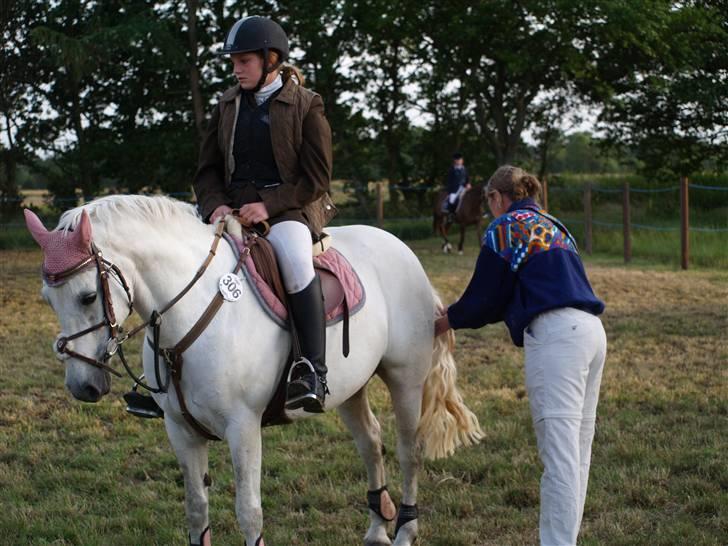 Connemara Skousboe sweet mandy SOLG - fed og biskidt billede 10