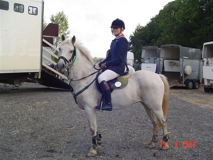 Anden særlig race IL TEMPO GIGANTE solgt - hvor jeg vandt. billede 7