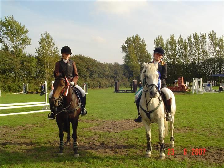 Anden særlig race IL TEMPO GIGANTE solgt billede 8