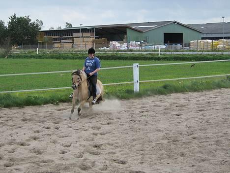 Anden særlig race Whisky - så skal der motioneres..!!!! en vild galop.. billede 11