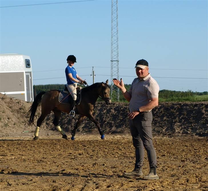 Hollandsk Sportspony Crocodile Dundee R.I.P  - verdens bedste ride lære+verdens bedste pony! kun i et billede :D foto far billede 15