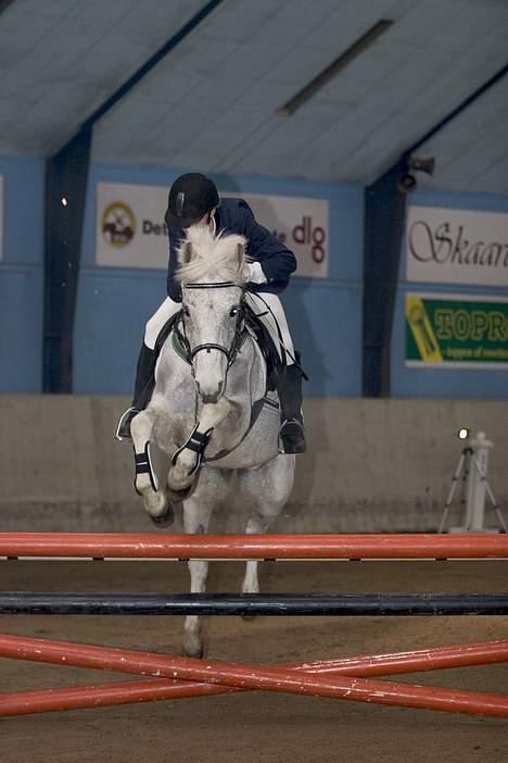 Anden særlig race Oliver*R.I.P -17/12 2007* - Mig og Oliver til stævne i Skårup Gård rideklub.. LB spring - vi vandt en 3. plads billede 6