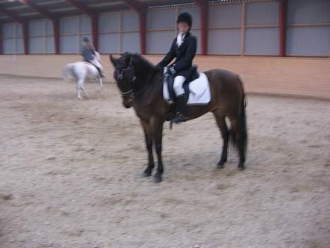 Anden særlig race Katrinebjergs Kreon†2006† -  (18)  hej her er vi til stevne... billede 18