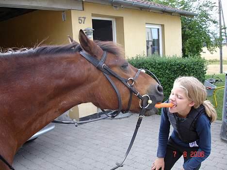 Anden særlig race Urt ¤solgt&savnet¤ billede 10