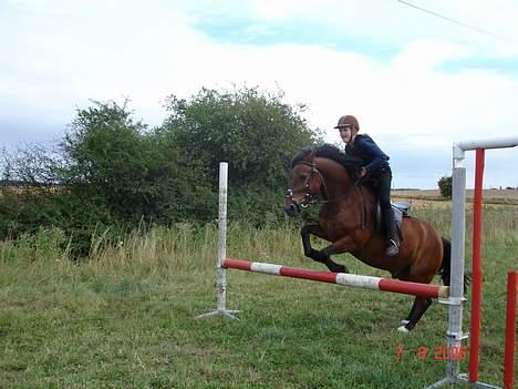 Anden særlig race Urt ¤solgt&savnet¤ billede 12