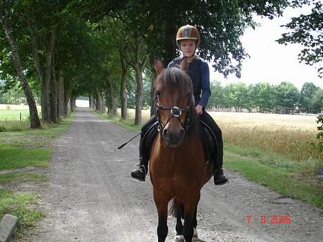 Anden særlig race Urt ¤solgt&savnet¤ billede 13