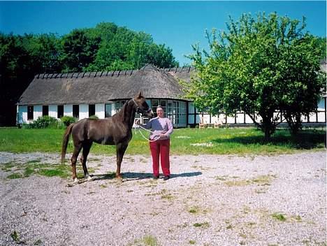 Traver Uriel(R.I.P) - Passer og Uriel billede 1