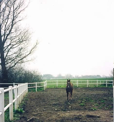 Traver Uriel(R.I.P) - Vinterfold på vej mod passeren billede 4