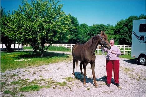 Traver Uriel(R.I.P) - Passeren Diana og Uriel igen anden stilling billede 5