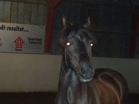 New Forest Batman R.I.P - <3 billede 7