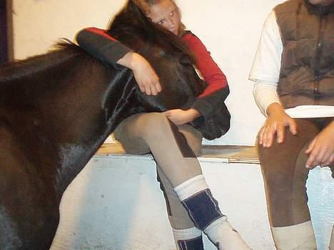 New Forest Batman R.I.P - Mig og Batter. Elsker ham <3 billede 14