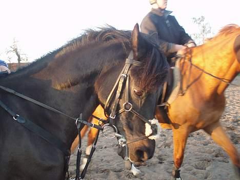 New Forest Batman R.I.P - Til spring :D billede 15