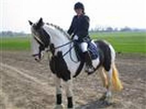 Tinker Lady Luna billede 18