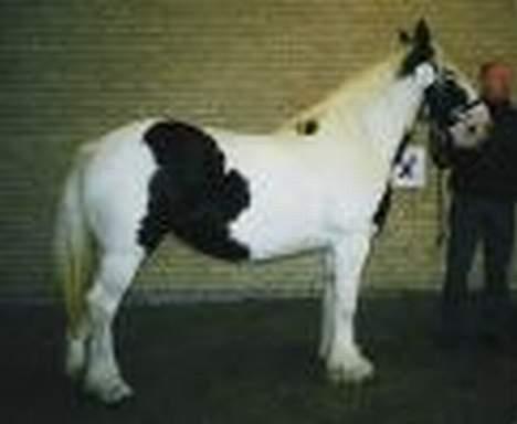 Tinker Lady Luna billede 19