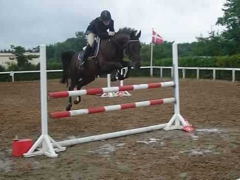 Anden særlig race Tiggi ( solgt ) billede 19