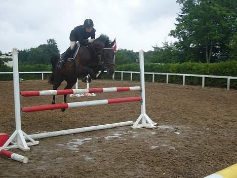 Anden særlig race Tiggi ( solgt ) billede 20