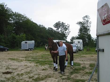 Dansk Varmblod Andigo - min far og Andigo! billede 19