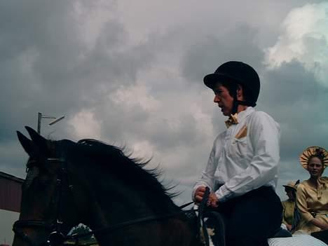 Trakehner Hillary *R.I.P* - nærbillede fra opvisning på rideskolen. billede 9