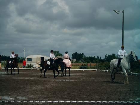 Trakehner Hillary *R.I.P* - opvisning på rideskolen. billede 10