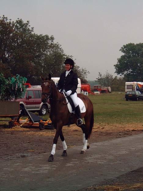 Trakehner Hillary *R.I.P* - mor på vilhemsborg. © Loús Foto billede 11