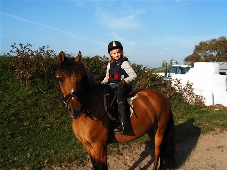 Anden særlig race Cheik Sherry solgt :'( - Cheik og lille Nadia :D hans nye ejer :´)<´3 SAVNER DIIG!"! <´3 billede 1