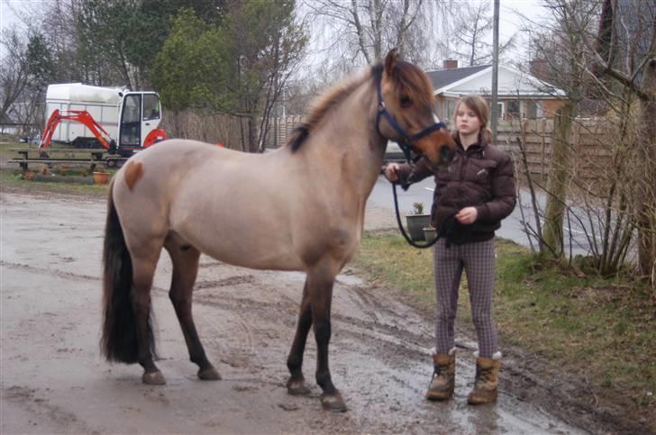 Anden særlig race Cheik Sherry solgt :'( - Ny klippet og med et dejligt vægttab.  billede 4