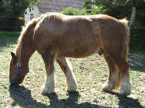 Jyde Tumling billede 7