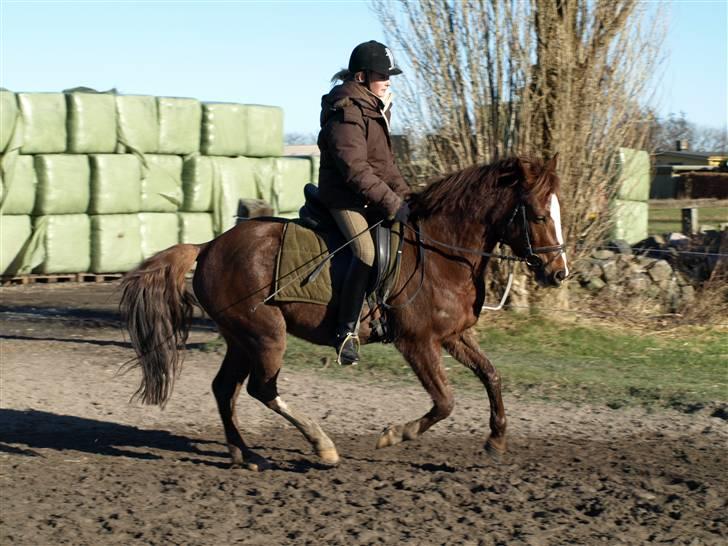 DSP Maglehøjs Micado R.I.P - NYT! :) billede 13