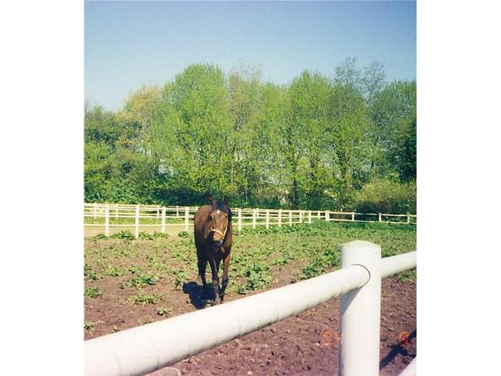 {{currentPhoto.altText}} billede {{currentPhoto.number}}