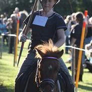 Anden særlig race Felix