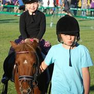 Anden særlig race Felix