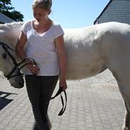 Anden særlig race Fiona