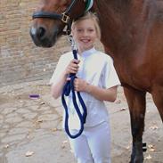 DSP MIRA-BELL VENTURE 