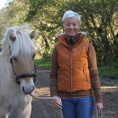 Fjordhest Hyllesteds ballade