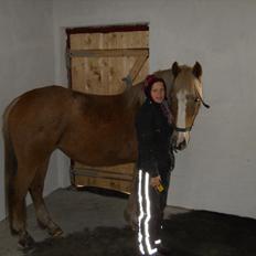 Anden særlig race Andrea