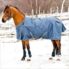 Anden særlig race Steven Seagal