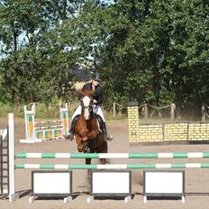 Anden særlig race Sahara ** LÅNTE **