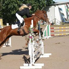 Anden særlig race Sahara ** LÅNTE **