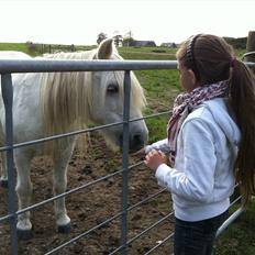 Anden særlig race Cirkeline