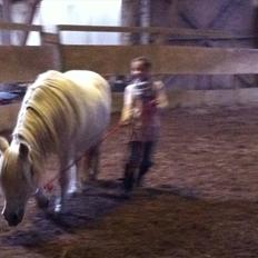 Anden særlig race Cirkeline