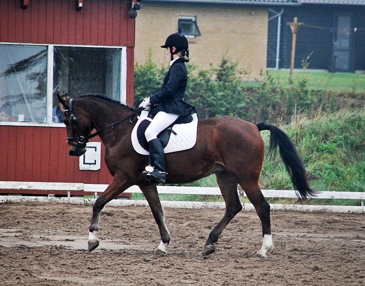 DSP Bakkelys Rozitta - #19 | Jaja vi kan jo godt | Foto: Stine Ravn billede 19