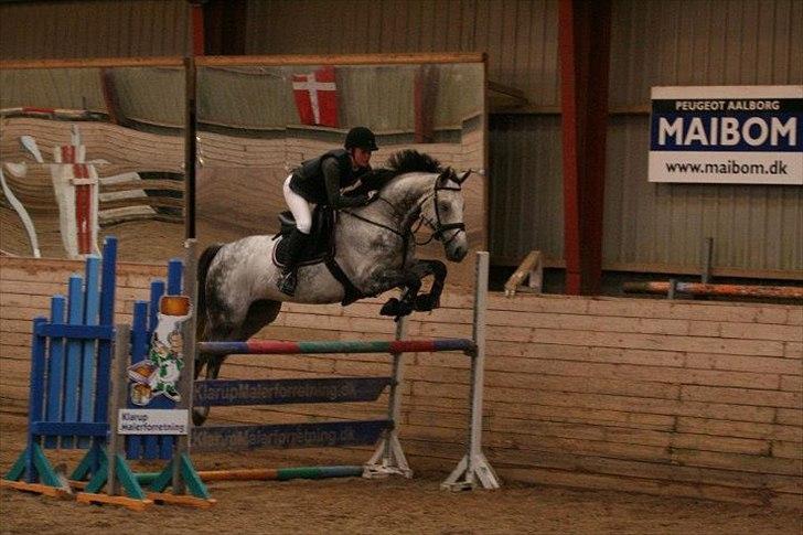 Dansk Varmblod Carneval Fever - Vores første LA til klubmesterskabet :) 0 fejl billede 2