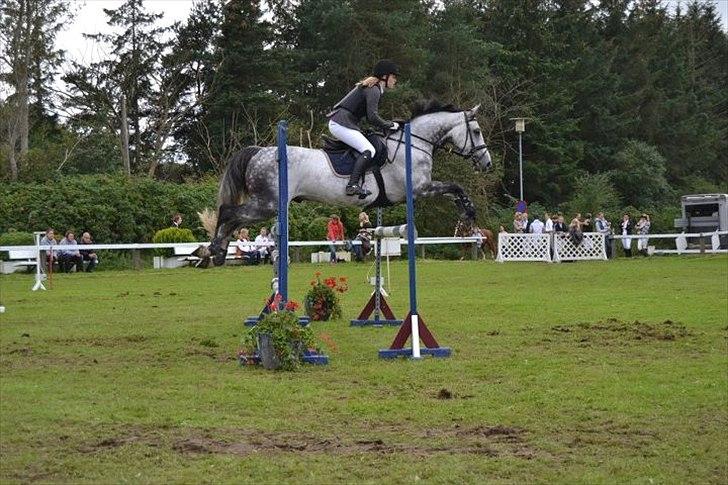 Dansk Varmblod Carneval Fever - Lidt sjovt billede fra LB** i HJR :) foto: Kicki Munk billede 20