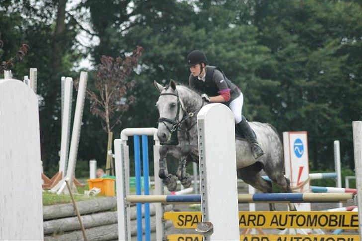 Dansk Varmblod Carneval Fever - Super billede hvis man ser bort fra støtten :) I Kongsdal billede 12